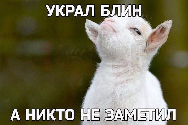       - 5