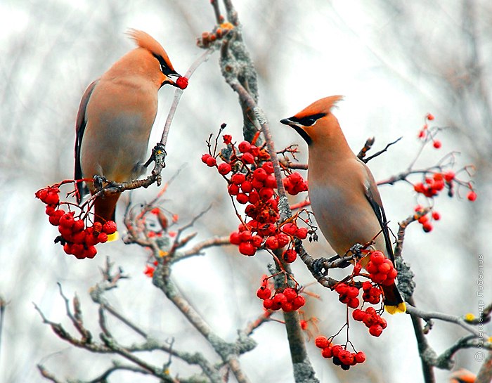 https://fotostrana.ru/away?to=/sl/tyJ - 2