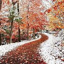 ���� ������, ���� - ��������� 26 �������� 2016 � ������ ������ ��������