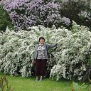 ���� � ������������ �� ������� ���� ����������