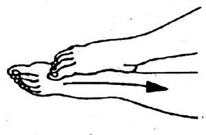 ����������, ������������� ����� � ������������� � ���� �������� �������. 1. ���������� 