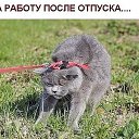���� Irsen, ������, 57 ��� - ��������� 8 ������ 2017 � ������ ������ ��������