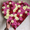 ���� �����, �������, 53 ���� - ��������� 5 ������� 2016 � ������ ���� ����������