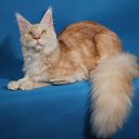  Sebastian, , 54  -  14  2017   