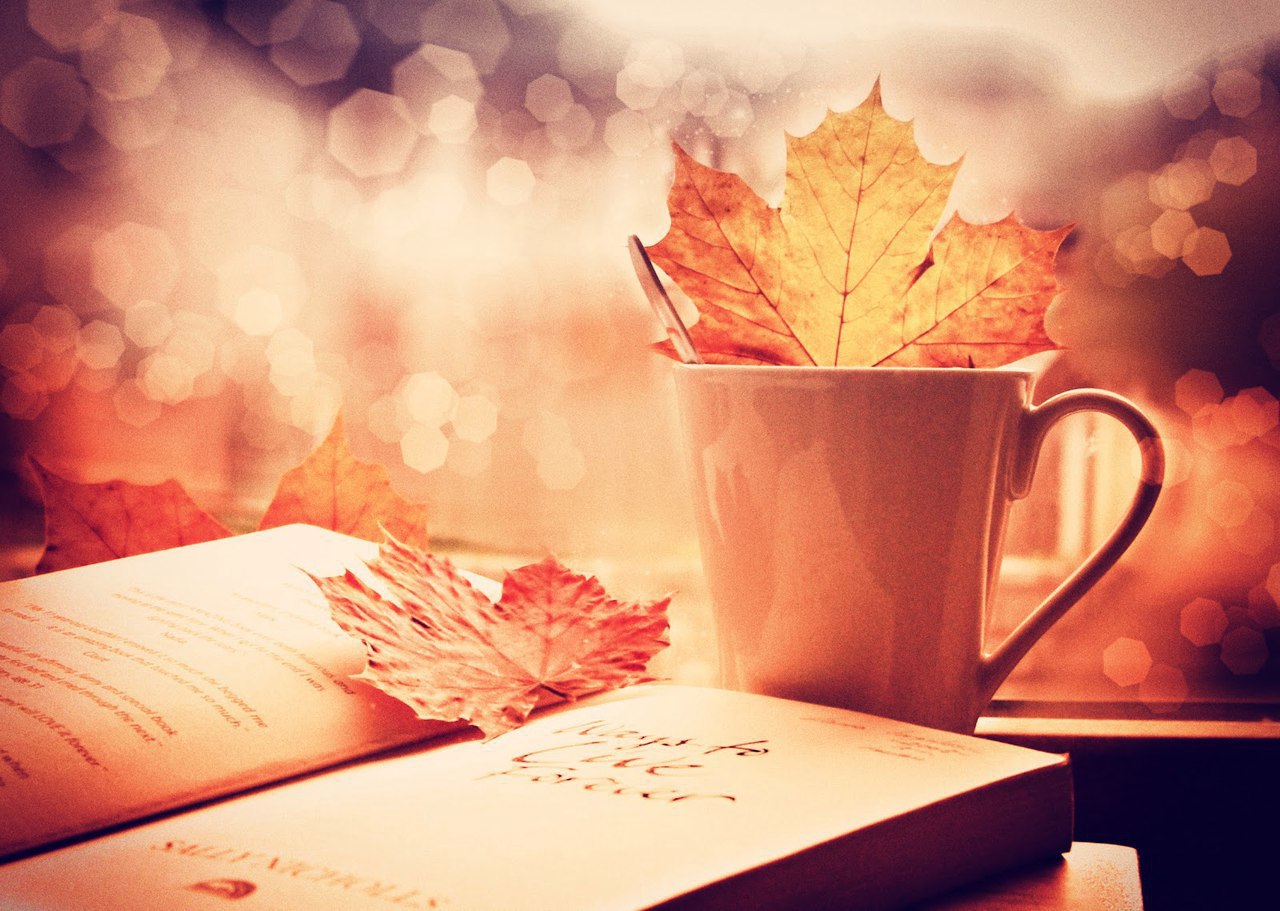 10 книг, которые можно прочесть за выходные.1. Иэн МакьюэнЗакон о детяхОтветственность за чужие ...