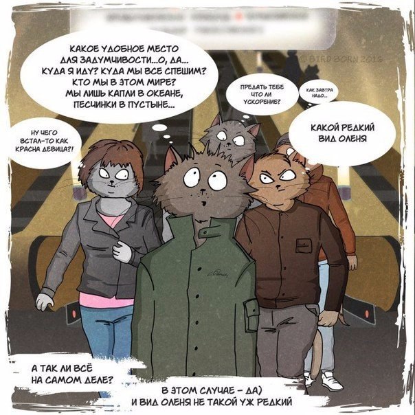     . - 10