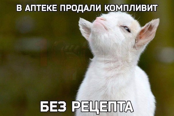      - 2