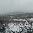  , , 73  -  28  2017    ߻