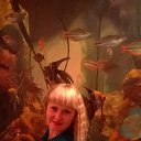  *@rov@shk@*,  -  3  2017    