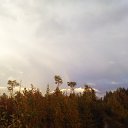 ���� �����, ������, 45 ��� - ��������� 26 �������� 2016 � ������ �������� 16�