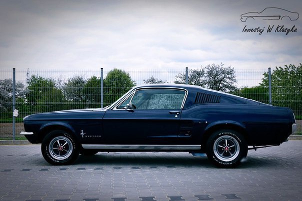 1967 Ford Mustang - 3