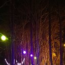 ���� ���������, ����-���������, 69 ��� - ��������� 8 ������� 2016 � ������ ���� ����������