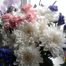 �������, ���������, 51 ���