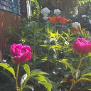 �� ����...