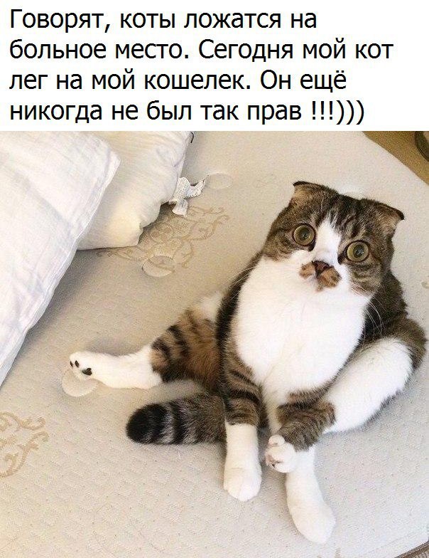    :D - 26  2016  06:07
