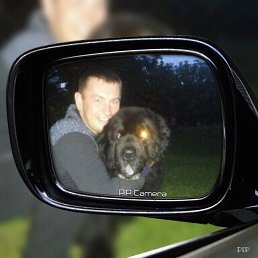 ������, �����������, 43 ����