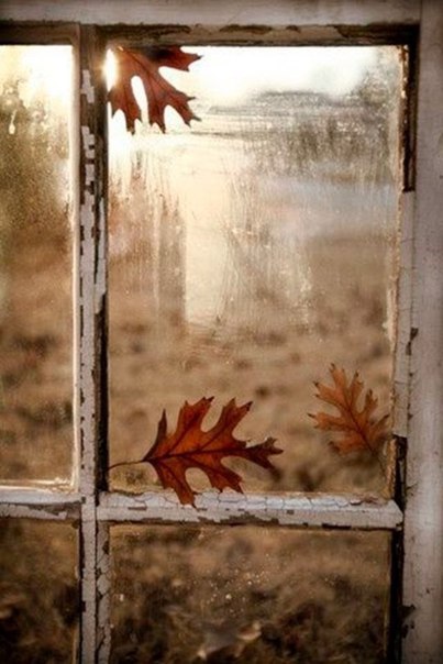   ,       ,  ,  ... - 5