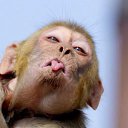 ���� Natalia, ������ - ��������� 8 ������� 2016 � ������ ���� ����������