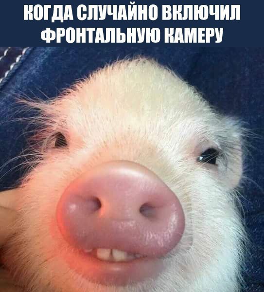    :D - 6  2016  03:01