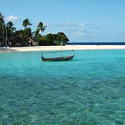 ���� �����, �����, 22 ���� - ��������� 18 ������ 2017