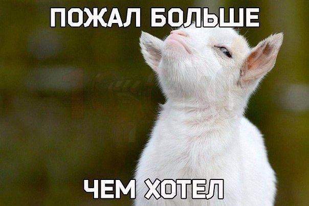       - 4