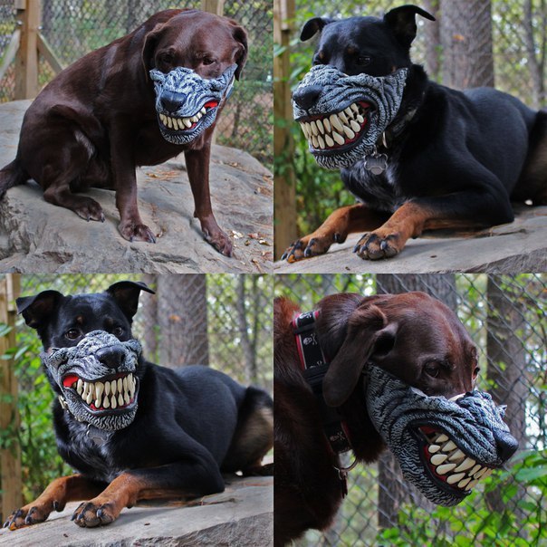    Werewolf Dog Muzzle