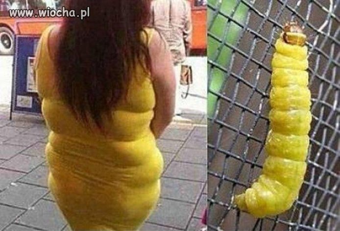  -  ....