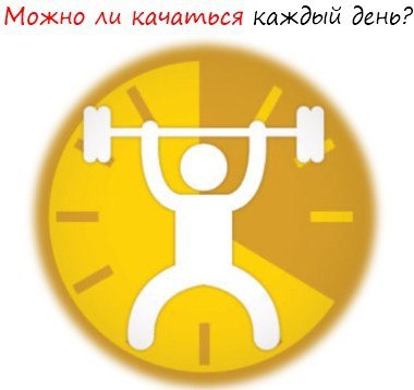 Можно ли качаться каждый день? Вся правда. Можно ли качаться каждый день? Недвусмысленный ответ. ...