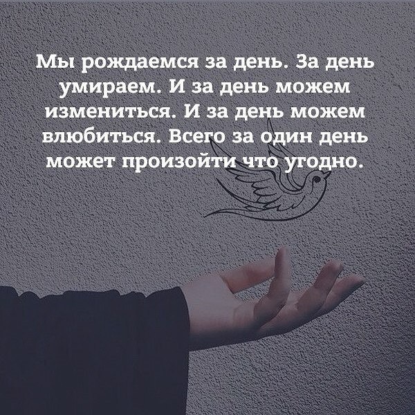 ,   ,    - 20  2017  03:53