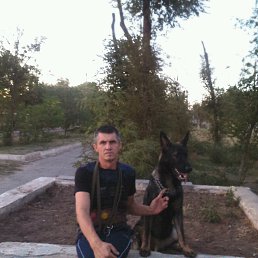 ����, ���������, 56 ���