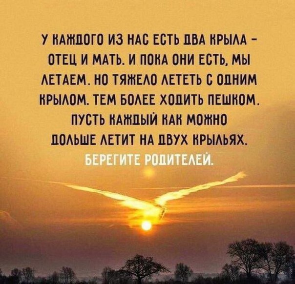 ☆ ☆ - 20  2016  00:26