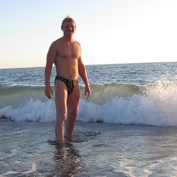 ���� ������, �����, 42 ���� - ��������� 1 ������� 2016