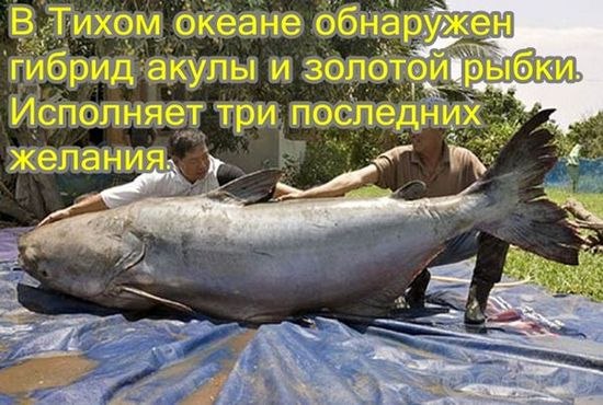 )))