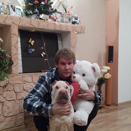 ���������, �������-�����, 44 ����