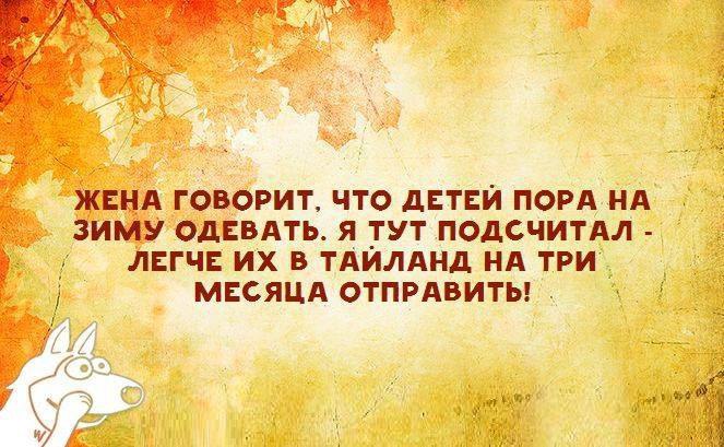  - ,  - 5  2016  20:56