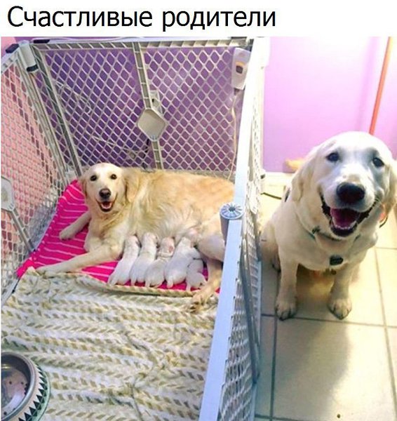  - 2  2017  13:44
