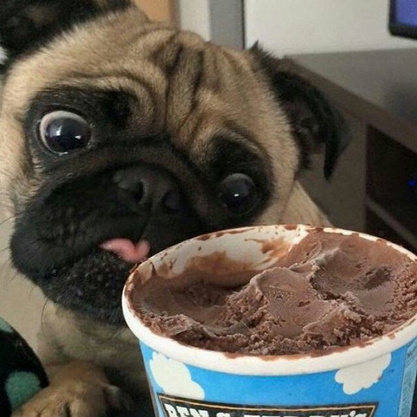  -,  ...