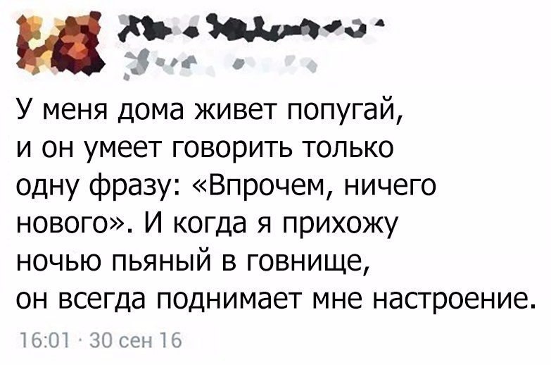 " —  ...  " - 29  2017  22:03