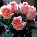 ���� ������, ������ - ��������� 19 ����� 2017 � ������ ���� ����������