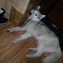 ���� �����, ������� - ��������� 21 ����� 2017 � ������ ������������ �������