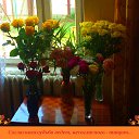 ���� ���, ������, 75 ��� - ��������� 22 �������� 2016 � ������ �*����� �� ��������� ������*�
