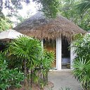    -  ,  -  6  2016    2014.  11.  lawana ( )