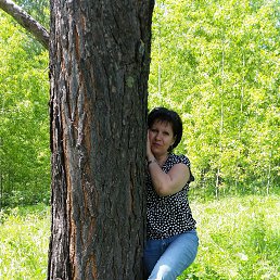 ���� �����, ����������, 104 ���� - ��������� 28 ������ 2016