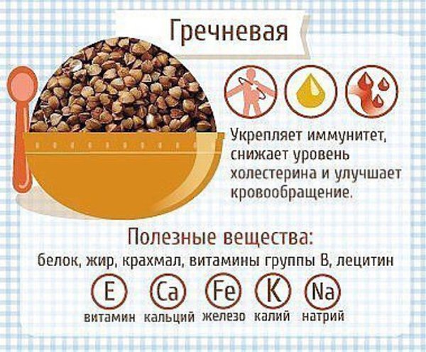 Вы едите каши? А знаете ли Вы почему они полезны и как их употребление может повлиять на организм? - 3