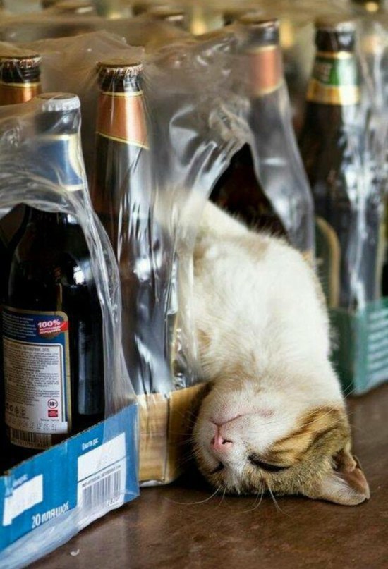 ��������� �������� ���, ����������� ������ �����. - 4