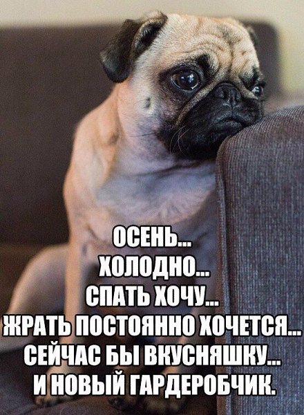 *OOPS* - 23 ������� 2016 � 15:05