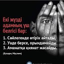  , , 52  -  3  2016    