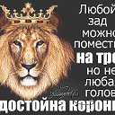 ���� �@����@, ������, 47 ��� - ��������� 14 ������� 2016 � ������ ������ ��������