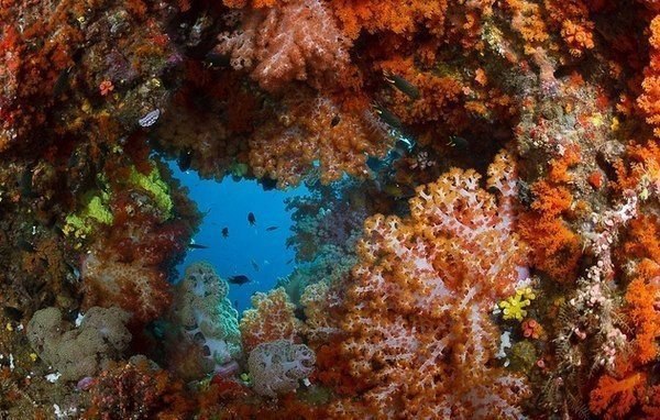 Индонезийский остров Мисул - райский тропический уголок. - 3