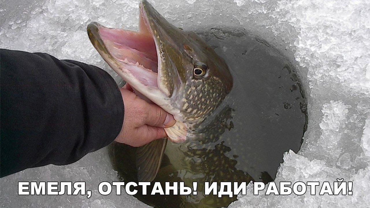    :D - 16  2017  01:08